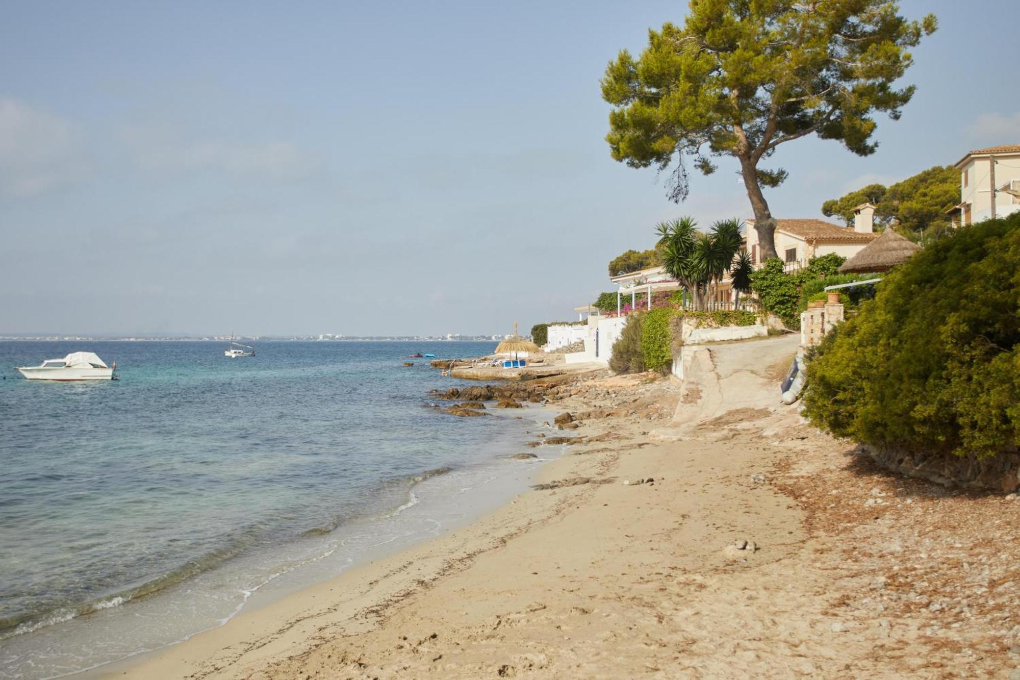 Inmood Aucanada 4 Sup Port de Alcudia  Eksteriør bilde